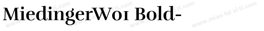 MiedingerW01 Bold字体转换